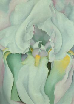 Georgia O Keeffe : Light Iris II